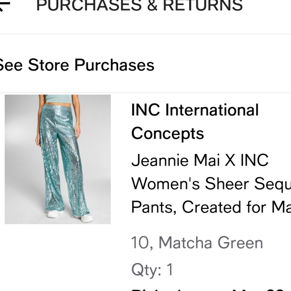 Sequin Pants - image 3